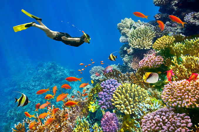Premium Sharm El Sheikh Turu